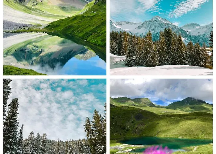 Rehwiesa A33 Daire *